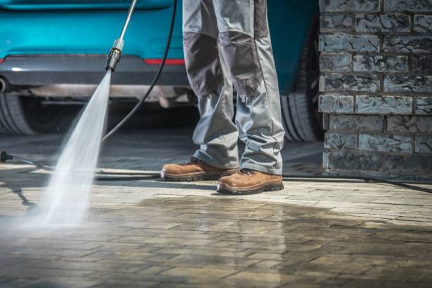 Best Sidewalk and Walkway Cleaning  in Dover, AR
